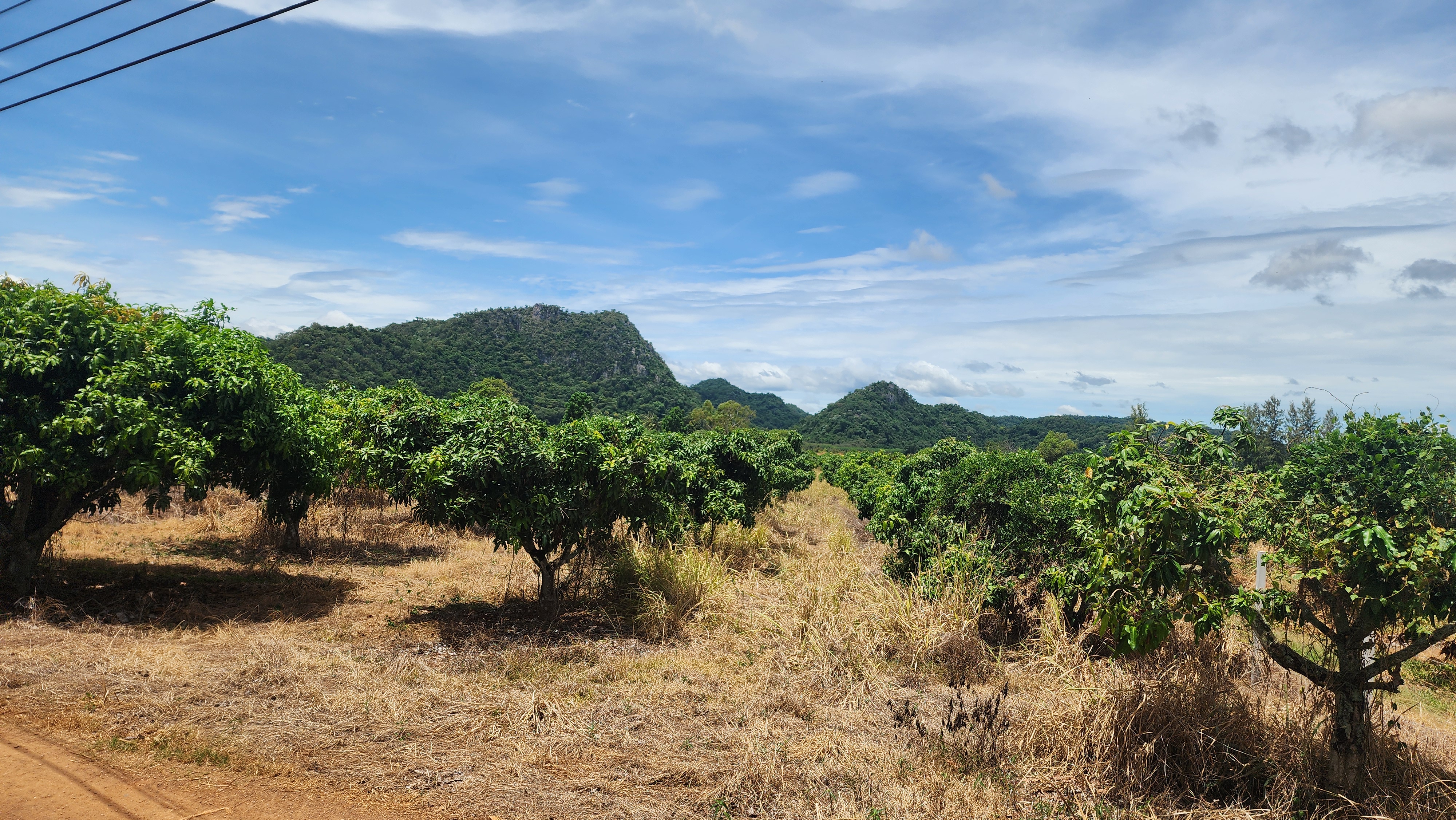 Korat - Farm Land